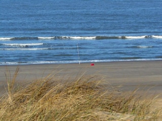 Vakantiehuis Julianadorp Omgeving 34