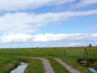 Vakantiehuis Julianadorp Omgeving 40