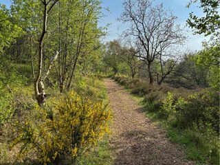 Casa per le vacanze Julianadorp Ambiente 36