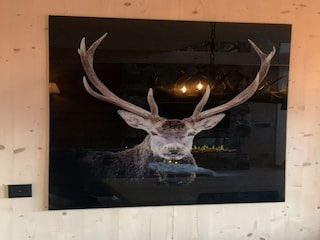 Chalet Turracherhöhe  24