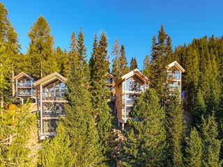 Chalet Turracherhöhe  30