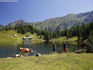 Parc de vacances Schladming Environnement 26