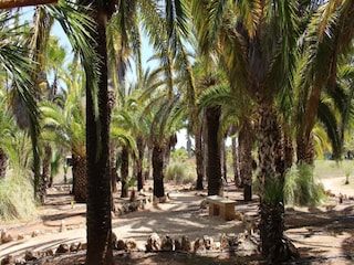 Villa Ses Salines Omgeving 8