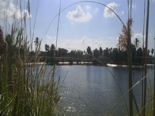 Villa Ses Salines Omgeving 10