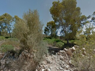 Villa Ses Salines Omgeving 16