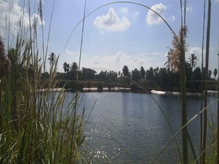 Villa Ses Salines Omgeving 20