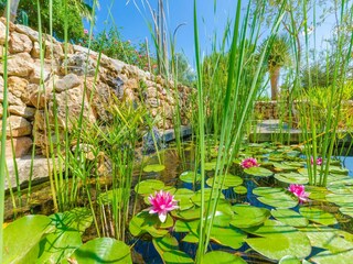 Villa Búger Buitenaudio-opname 50