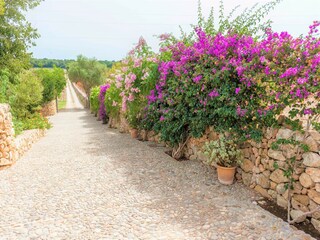 Villa Búger Buitenaudio-opname 51