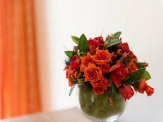 Apartment Mokošica Außenaufnahme 12