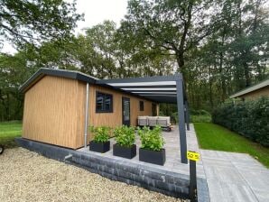Ferienhaus Chalet in den Niederlanden am Wald - Amerongen - image1
