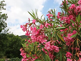 Appartement Ston Buitenaudio-opname 5