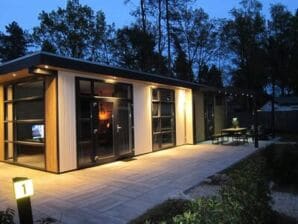 Ferienhaus Chalet in den Niederlanden am Wald - Amerongen - image1