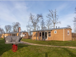 Ferienhaus Nieuw-Haamstede Außenaufnahme 2