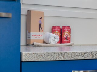 Casa per le vacanze Nieuw-Haamstede  42