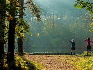 Ferienhaus Nieuw-Haamstede Umgebung 31