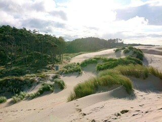 Casa de vacaciones Nieuw-Haamstede Entorno 41