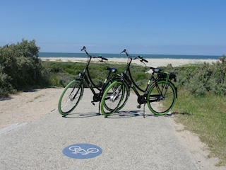 Ferienhaus Nieuw-Haamstede Außenaufnahme 4