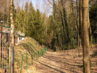 Ferienhaus Maaseik Umgebung 33