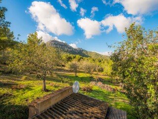 Villa Felanitx Environment 25