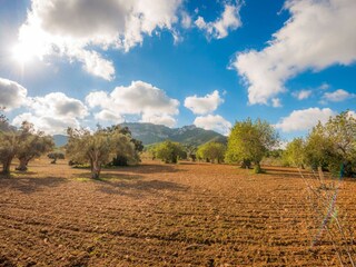 Villa Felanitx Environment 23