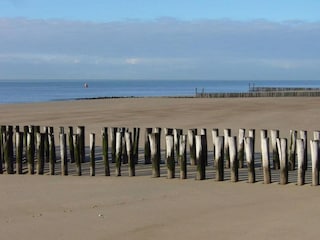 Vakantiehuis Zoutelande Omgeving 36