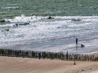 Vakantiehuis Zoutelande Omgeving 15