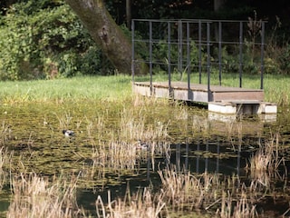 Ferienhaus Gedinne Außenaufnahme 8