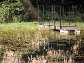Maison de vacances Gedinne Enregistrement extérieur 4