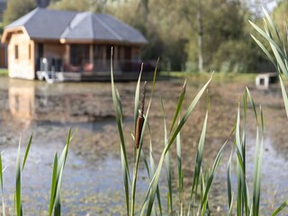 Maison de vacances Gedinne  27