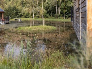 Vakantiehuis Gedinne Buitenaudio-opname 3