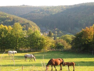 Vakantiehuis Gedinne Omgeving 24