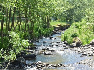 Vakantiehuis Gedinne Omgeving 27