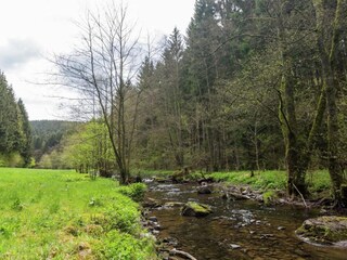 Ferienhaus Gedinne Umgebung 22