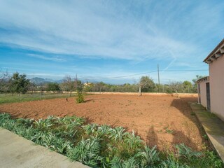 Villa Binissalem Ambiente 20