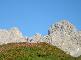 Appartamento per vacanze Ellmau Ambiente 22