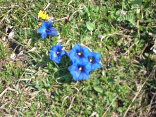 Appartamento per vacanze Ellmau Ambiente 23