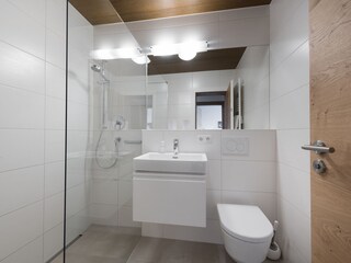 Appartamento per vacanze Ellmau Caratteristiche 16