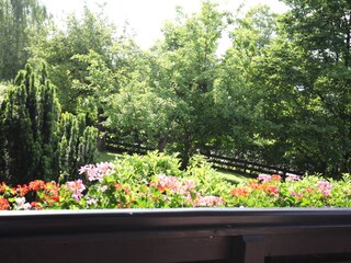 Appartamento per vacanze Ellmau Caratteristiche 21