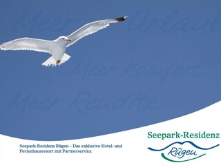 Casa per le vacanze Trent Documento 18