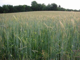 Holiday house Margraten Environment 27