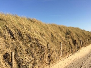 Apartment Wenduine Umgebung 40