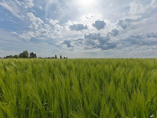 Ferienhaus Margraten Umgebung 6