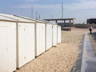 Appartement Wenduine Environnement 38