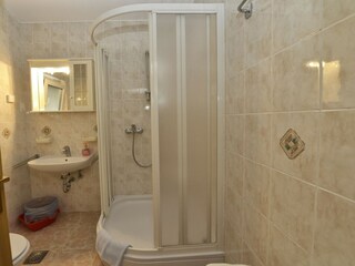 Holiday house Spadici  4