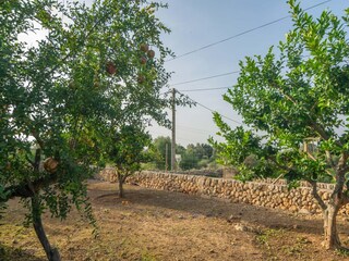 Villa Algaida Environment 39