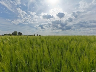 Maison de vacances Margraten Environnement 18