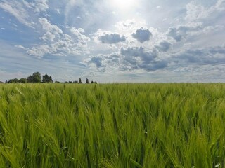 Vakantiehuis Margraten Omgeving 18