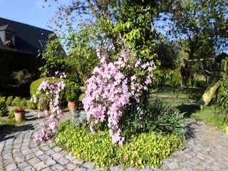 Apartment Valmont  11