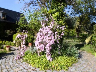 Appartement Valmont  11