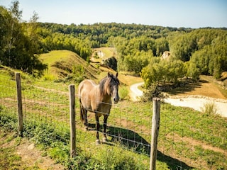 Maison de vacances Margraten Environnement 19